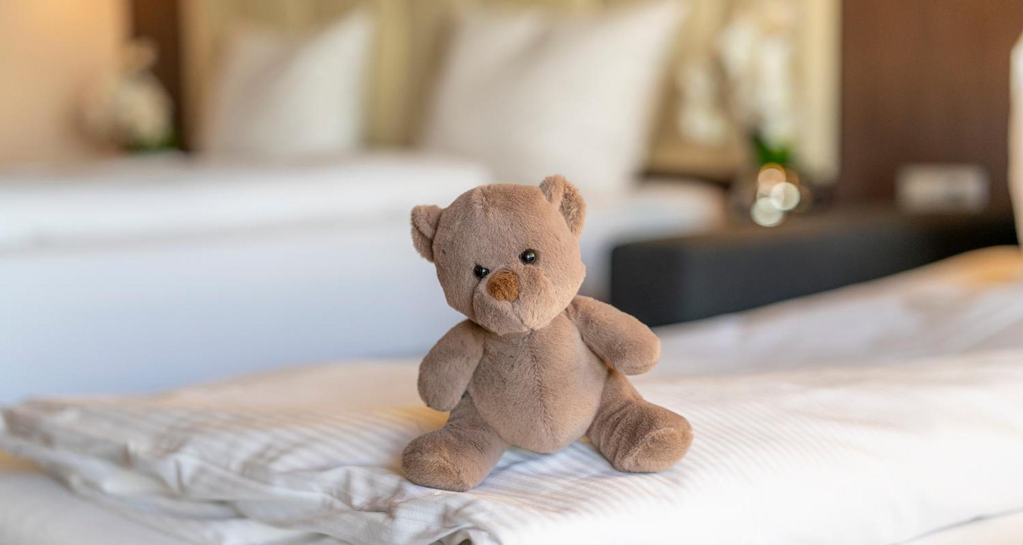 Plaza Hotel Foehr Am Bodensee FDH 외부 사진